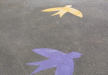 marquage au sol spécifiques école Rhone
