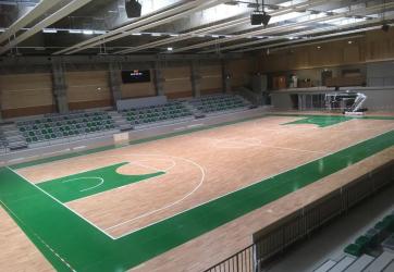Coloration des zones d'un basket-ball : pourtour et raquettes, sur sol en parquet