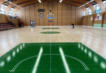 traçage terrain de basketball Meyzieu
