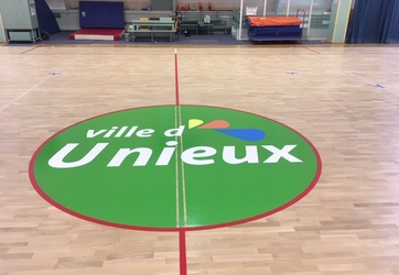 Coloration du rond central d'un Basket-ball et mise en peinture d'un logo.