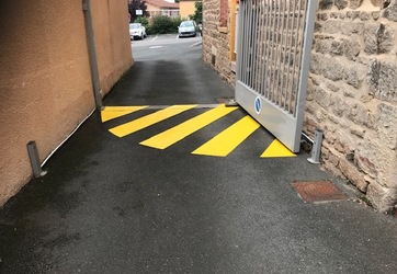 Traçage de zébras