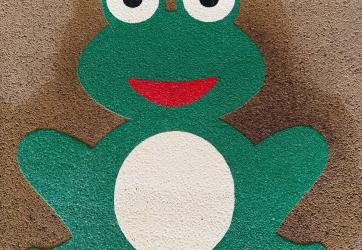 thermocollé grenouille dans une école Rhone