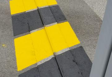 Marquage d'un zébra de sécurité , ,Lyon 69