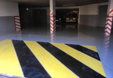 Traçage de zébra