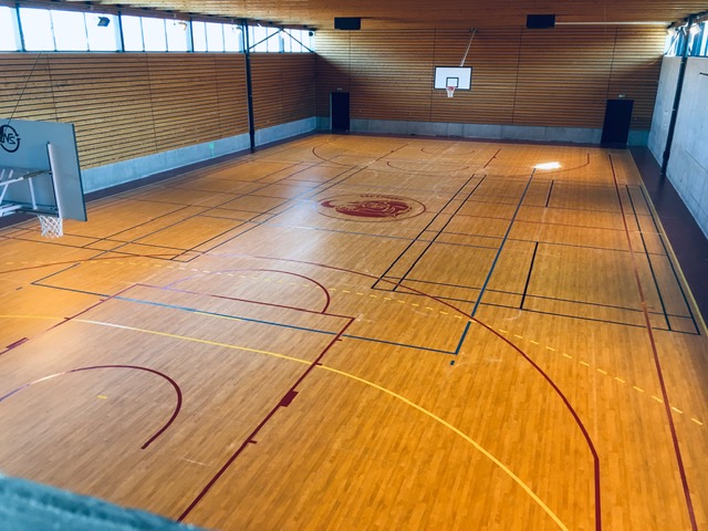 Handball